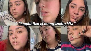 Mega compilation of liquid snot x2