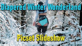 Winter Wonderland Diaper Pics