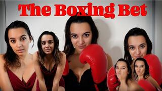 The Boxing Bet