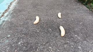 I crush, trample, crush and destroy with my high heels (3)