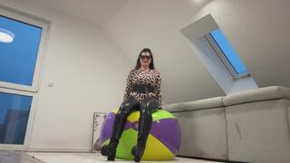 Miss Cookie is riding a beach ball