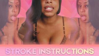 Stroke Instructions