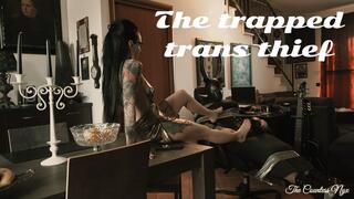 THE TRAPPED TRANS THIEF