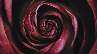 Too Tired to Careâ€¦ Worship My Feet Anyway â€“ Voice Control Audio