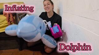 Inflating Dolphin
