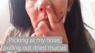 Picking at my nose, pulling out dried mucus