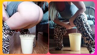 Lost in a new world, in desperate need of a throne