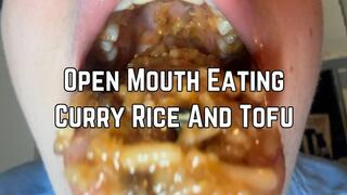 Open Mouth Eating Curry Rice And Tofu 1080p | Messy Eating | Mukbang | Mouth Fetish | Mouth Sounds | Eating Food