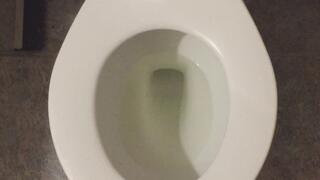 I PISS GOLD FOOT FETISH SLIPPERS