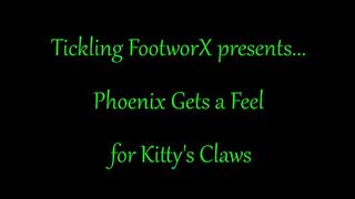 Phoenix Gets a Feel for Kitty's Claws