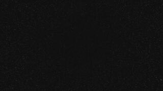 Freeze. Breathe. Obey. â€“ Command Audio