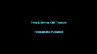 Pressed and Punished