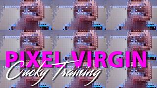 Virgin Pixel Fincuck Training