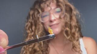 Shrinking the Science Teacher with Nathalia