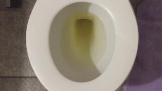 I PISS GOLD IN MY TOILET IN MY HOUSE