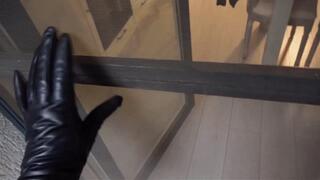 CAT BURGLARY