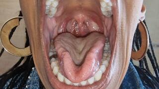 macro mouth tour