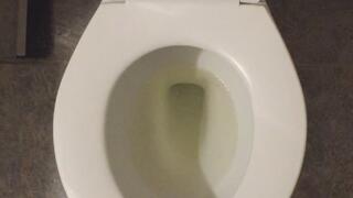I PEE GOLD IN TOILET