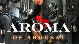 Aroma of Arousal pov