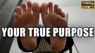 Feet, Your True Purpose - Full HD 1080p - KingMarti - MOV