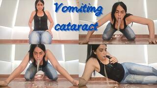 A fountain of vomit all over my body!