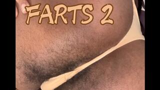 Sniff My FARTS 2: Hairy Ebony Fart Fetish 4K