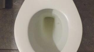 I PISS GOLD IN MY TOILET IN MY HOME