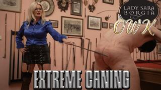 OWK - Extreme Caning (1080p)