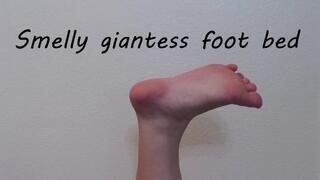 Smelly Giantess Foot