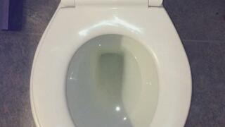 I PISS GOLD IN MY TOILET DAILY I WISH FOR CUSTOMERS