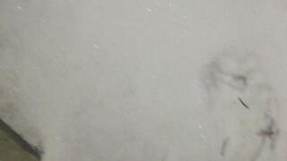 FOOTBALL TOUCHDOWN SNOW DAY STAY AT HOME