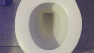 I PISS GOLD IN MY TOILET EVERYDAY I WISH FOR MONEY