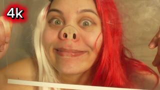 I Squish My Face Against the Glass and pig nose