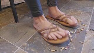 Sandals, tinies, stomps, and taps