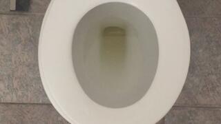 I PEE GOLD INTO MY TOILET SUPPORT ME
