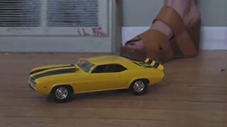 Auto Crush Fetisch Star