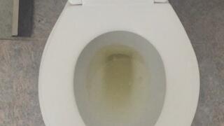 I PEE GOLD IN MY TOILET I WISH TO LIVE A GENERATION