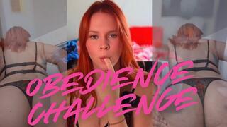 Obedience Challenge