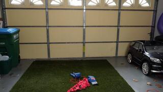 Training With Koven (1080p)