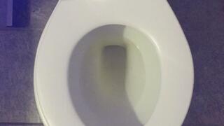 I PEE GOLD IN MY TOILET I WISH FOR LOTS OF MONEY