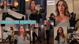 Audrey: Luscious Lynx Mesmerized