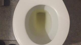 I PISS GOLD IN MY TOILET I WISH FOR CUSTOMERS