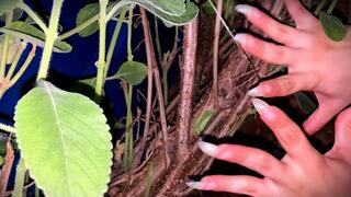 Claws That Like to Scratch