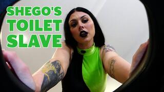 Shego's Toilet Slave - Princess Sydnie (HD1080p)