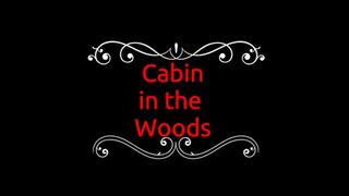Cabin in the Woods