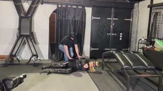 Victoria cat burglar Captured and taken prisoner