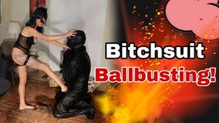 Bitchsuit Ballbusting