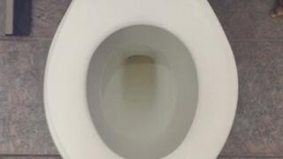 I PEE GOLD IN MY TOILET I PEE GOLD IN MY TOILET