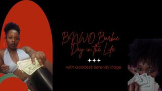BNWO Barbie - Day in the Life