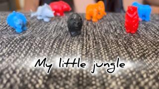 My little jungle